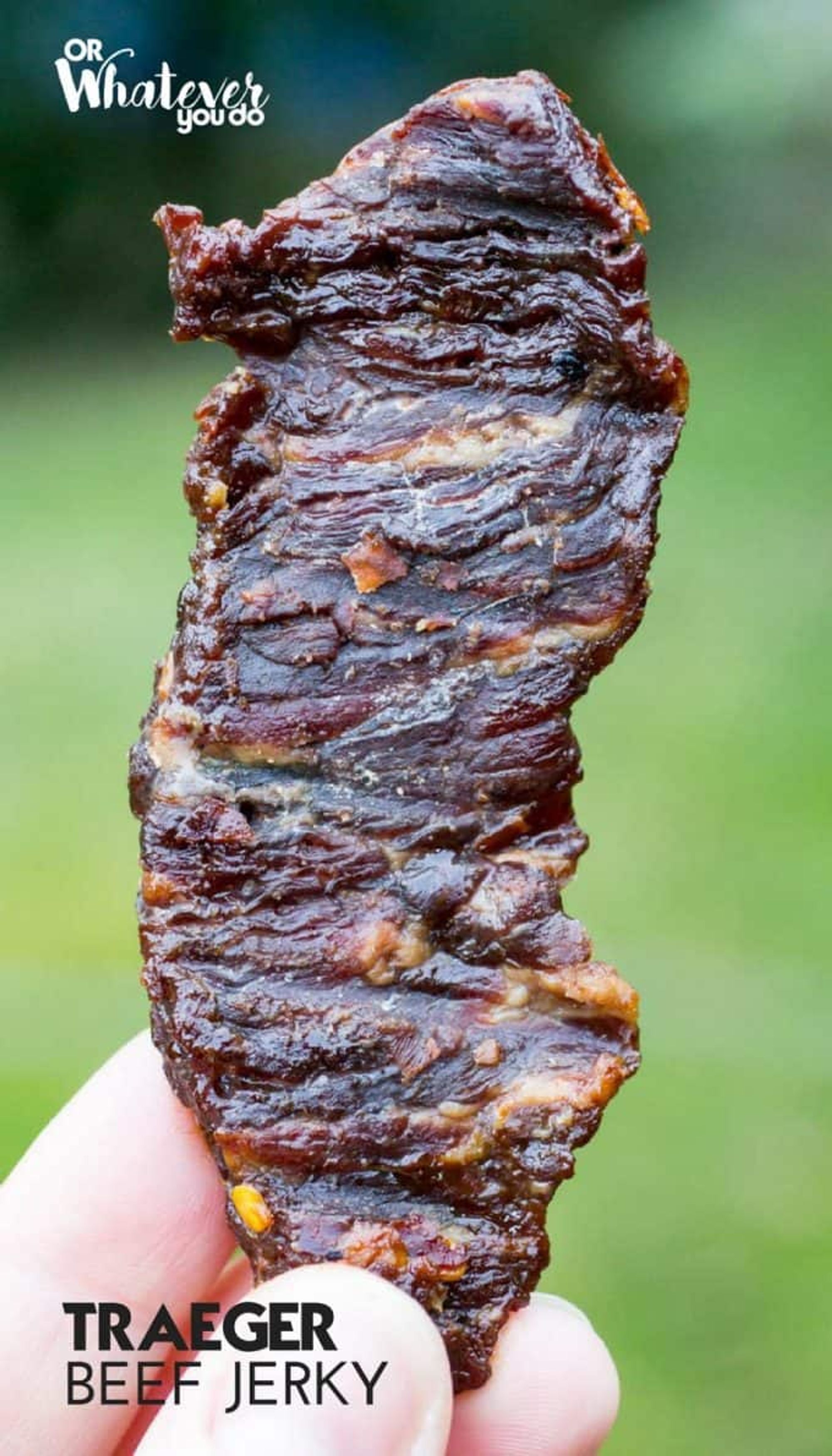 Beef Jerky Recipe for Traeger Grills My Recipe Magic