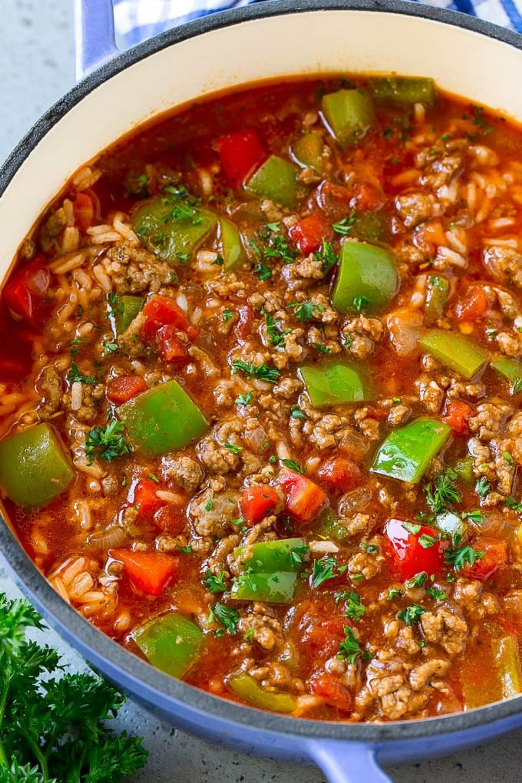 Stuffed Pepper Soup - Dinner at the Zoo - My Recipe Magic