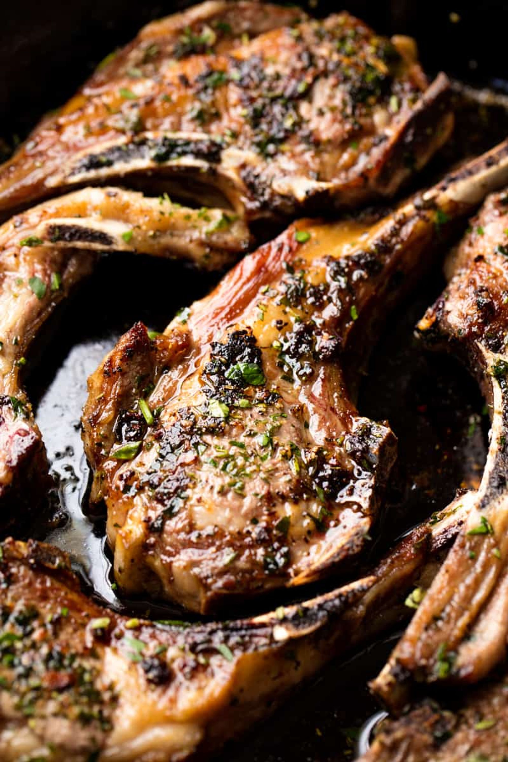 Garlic Herb Lamb Chops My Recipe Magic