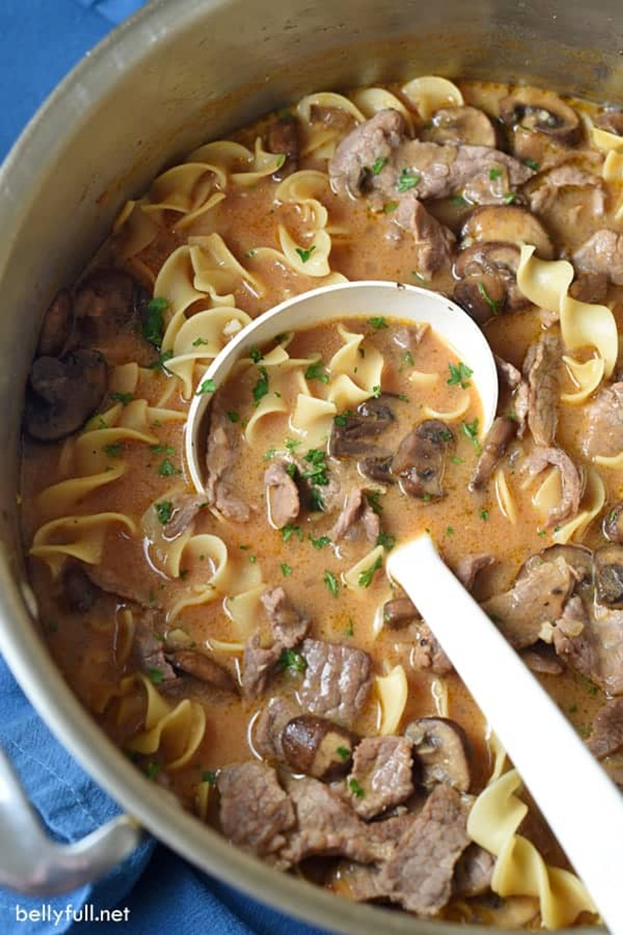 Beef Stroganoff Soup My Recipe Magic
