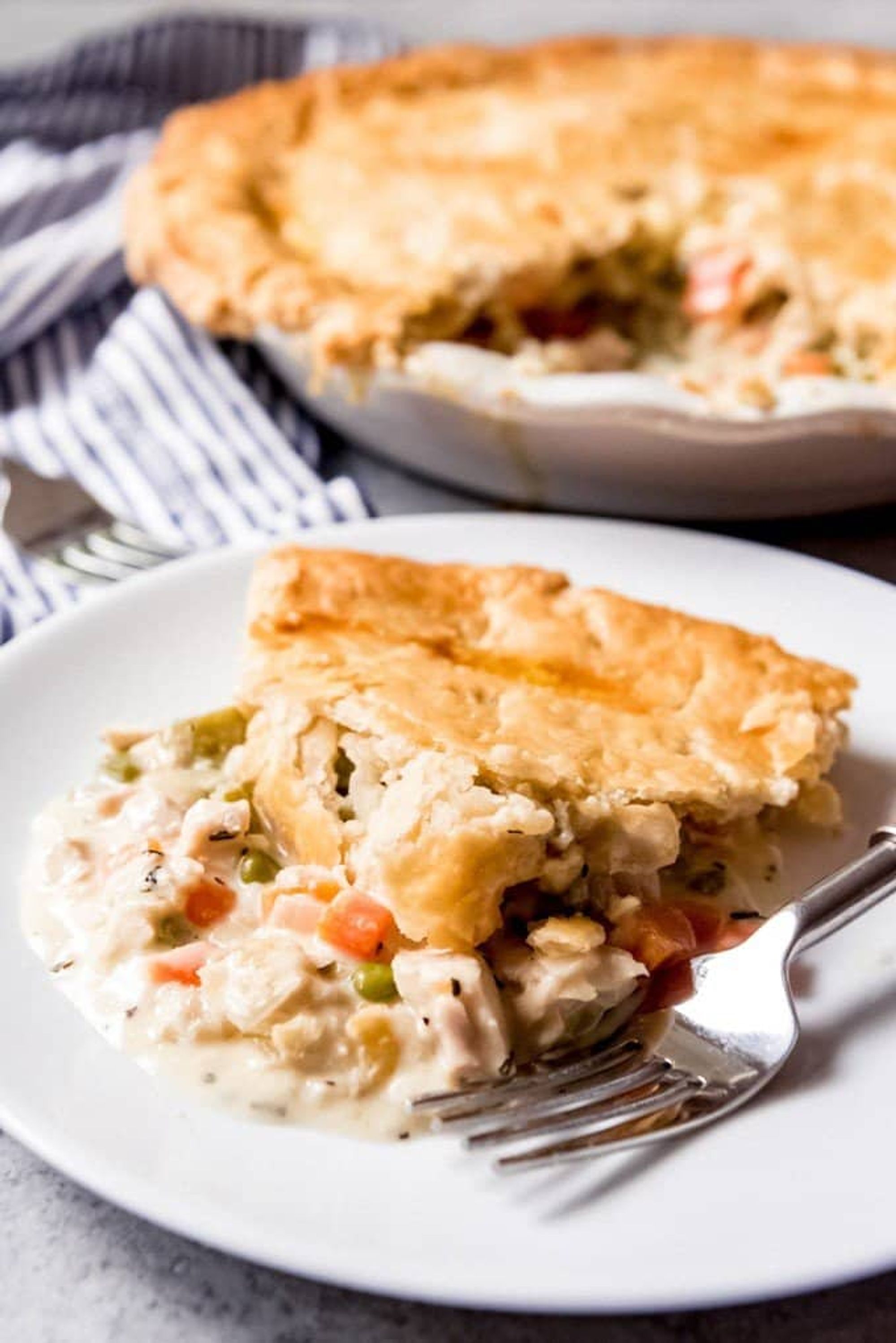 The BEST Homemade Chicken Pot Pie Recipe - House of Nash Eats - My ...