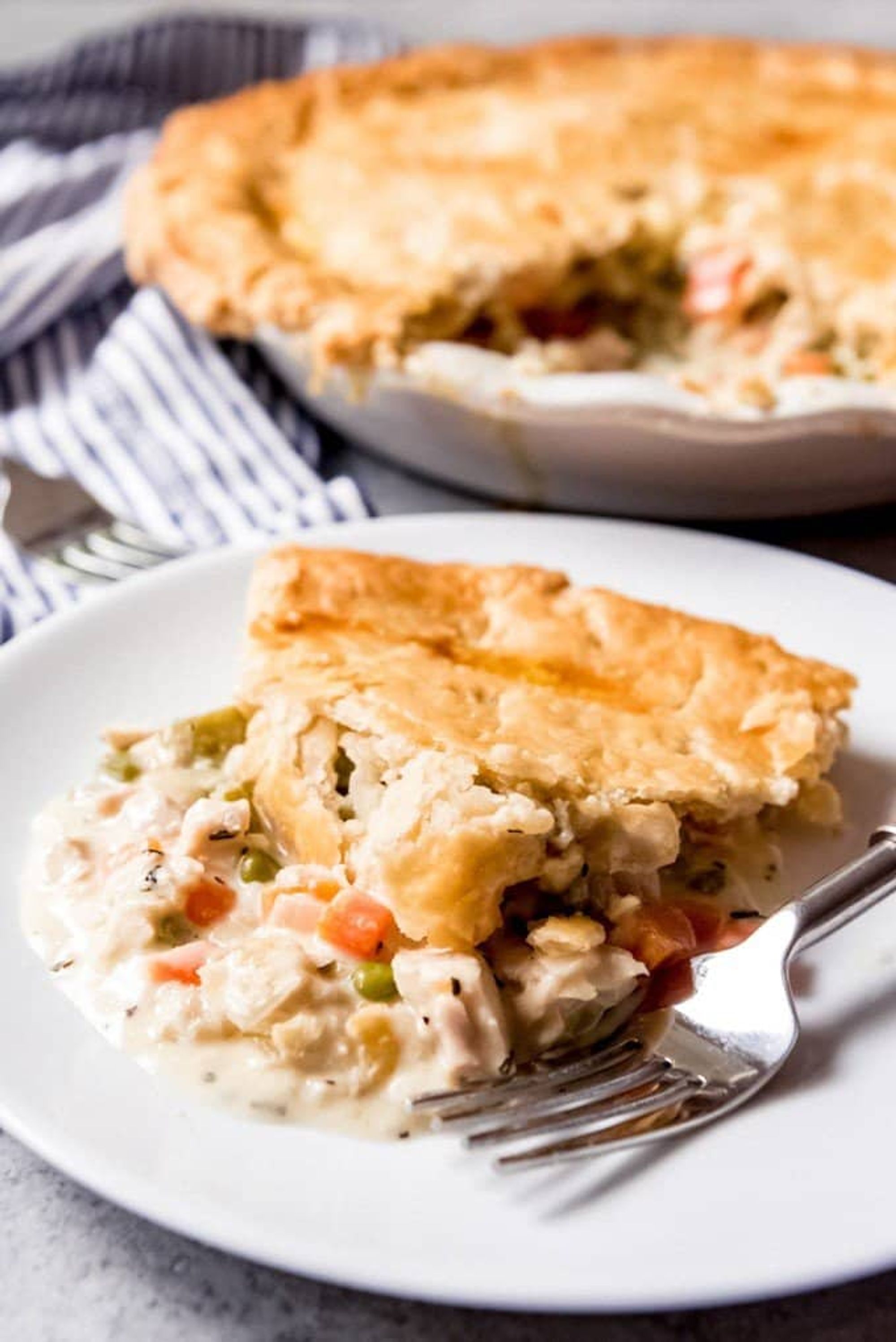 The BEST Homemade Chicken Pot Pie Recipe - House of Nash Eats - My
