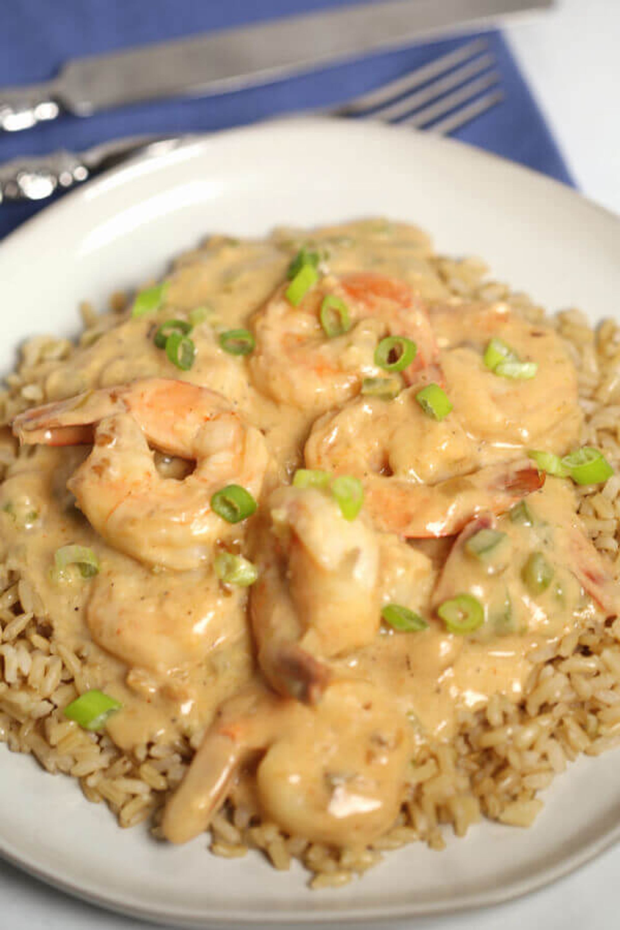 Creamy Garlic Shrimp and Rice Recipes - My Recipe Magic