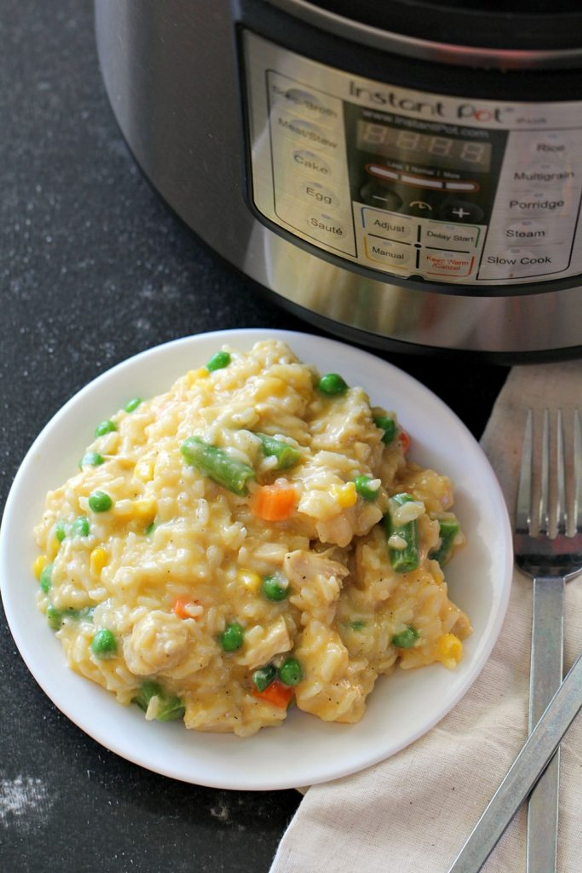 Instant Pot Cheesy Chicken and Rice Six Sisters' Stuff